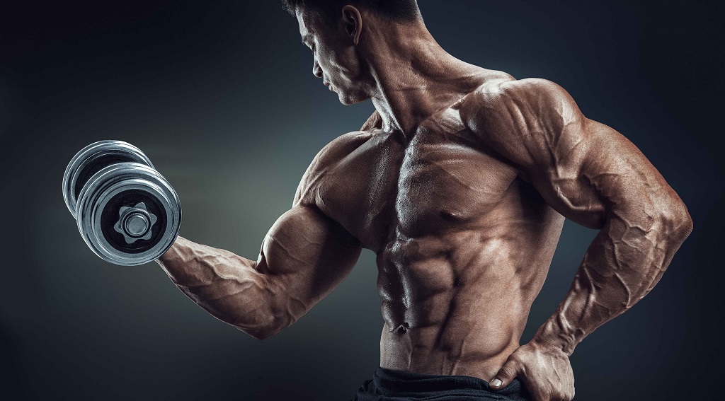 Consejos bíceps gimnasio