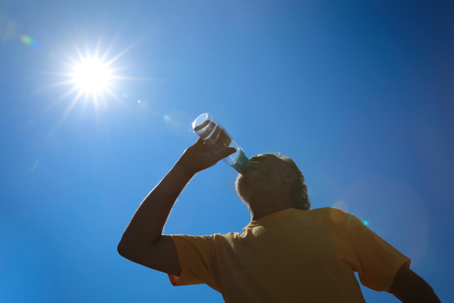Adaptación al calor